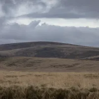 COSDON BEACON