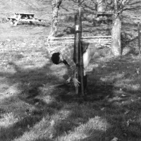 Planting new apple trees during a Lustleigh Apple Day