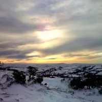 Dartmoor Snowdrifts