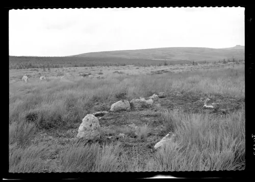 Fernworthy Kistvaen and Stone Circle