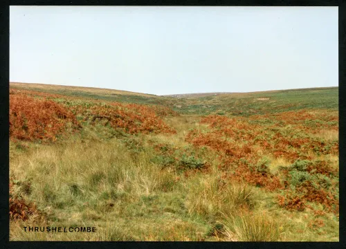 19/54 Drizzlecombe Brook 6/9/1991