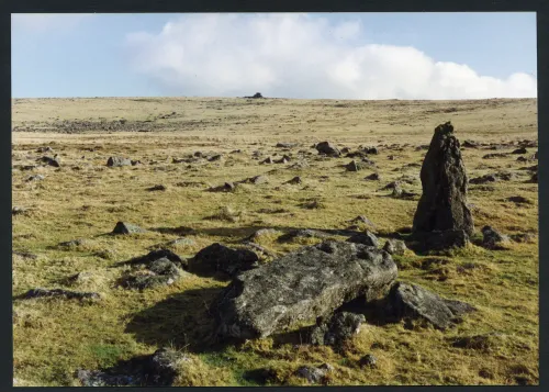 3/6 Above Butter brook (monolith) 28/1/1994