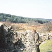 Ruined building near Soussons Down Forest