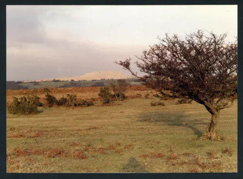 36/3/1/91 Lynch Common to Sheepstor 