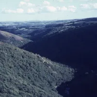 Dart Gorge from Mel Tor