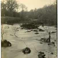 River Dart