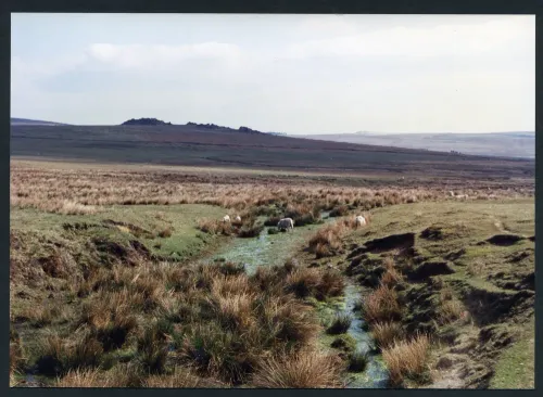 19/24 Source of Legis Lake to Legis Tor 4/5/1991