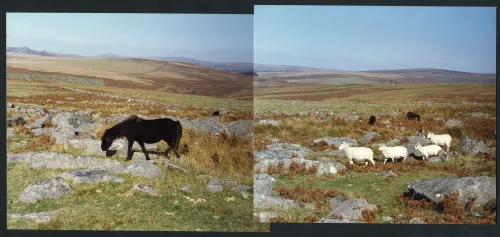 Lower Trowlesworthy to Ringmoor Down 16/10/1993 & 3/52 Lower Trowlesworthy to Ditsworthy and Eylesburrow