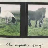 An image from the Dartmoor Trust Archive