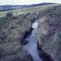 Leat above O. Brook