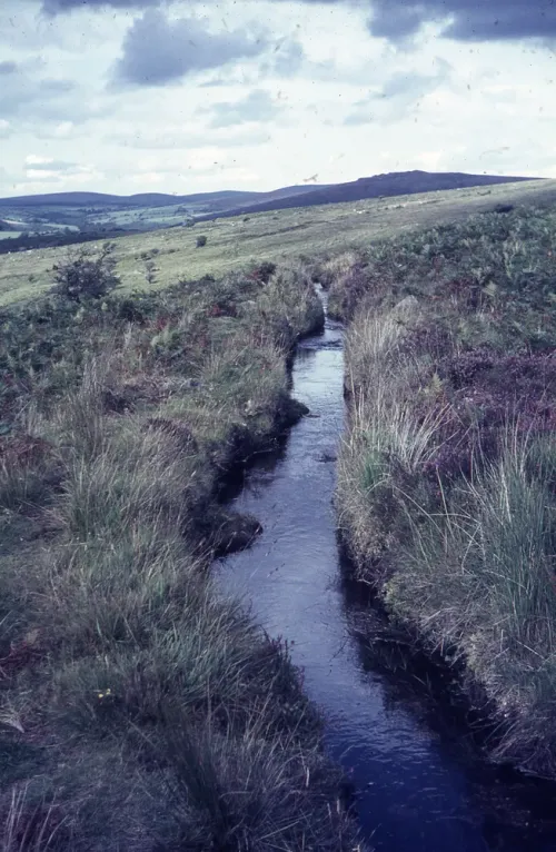 Leat above O. Brook