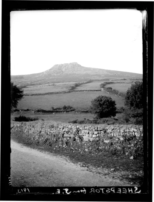 Sheeps Tor