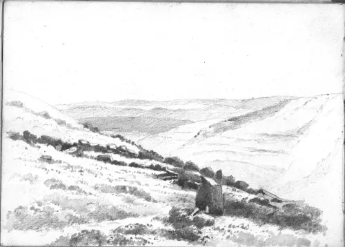 Jones 86 Moorland scene.tif