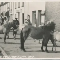 An image from the Dartmoor Trust Archive