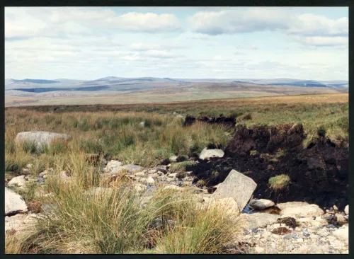 33/61 Shavercombe Brook source to North West 30/9/1991