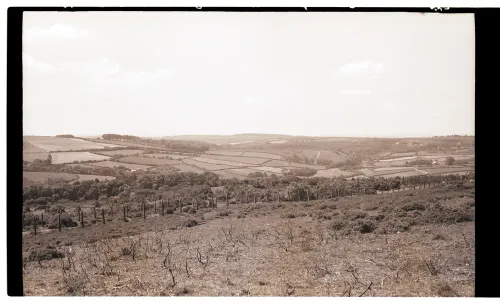 Old Plymouth and Dartmoor Railway embankment on Yennadon Down