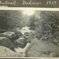 Dartmeet