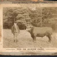 An image from the Dartmoor Trust Archive