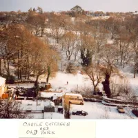 Castle cottages and old park