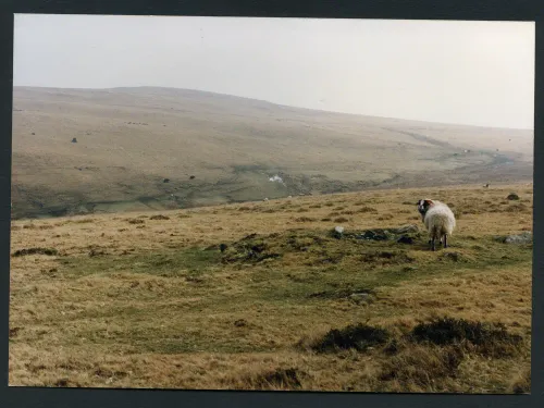 12/2 Cairn Mether Hill 8/1/1992