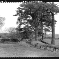 The Devonport leat at Lake Farm in Yelverton