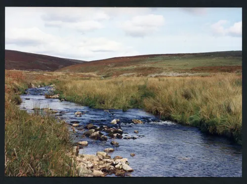 26/62 Confluence of Shavercombe Brook and Plym Foot of Giants Hill 30/9/1992