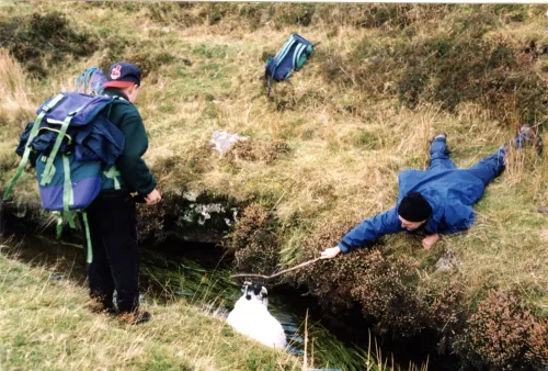 Rescuing a Sheep from the Devonport Leat