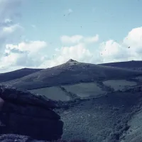 Sharp Tor from Bench Tor (P. M. T.)