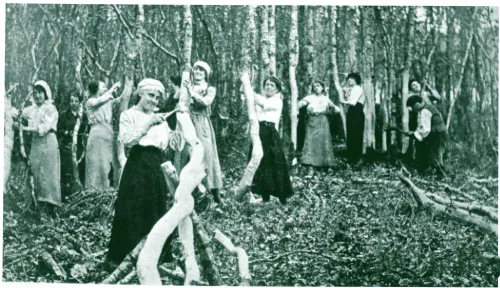 1WW WOMEN FORESTRY WORKERS IN DEVON 