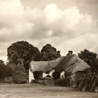 Thatched house