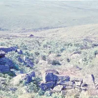 An image from the Dartmoor Trust Archive