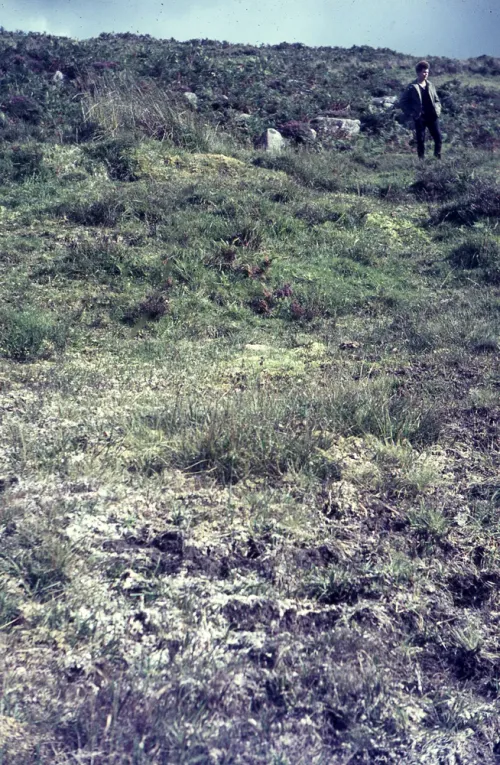 A valley bog. O. Brook (D. G. T.)