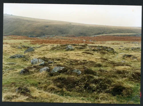 10/58 Smallacombe settlement 11/11/1994