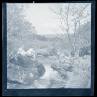 An image from the Dartmoor Trust Archive