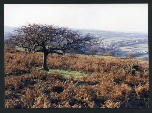 60/11/90 Meavy from Lynch Common 16