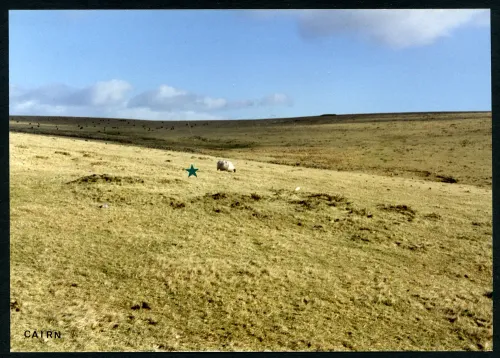 5/6 Cairn above Butter brook 28/1/1994