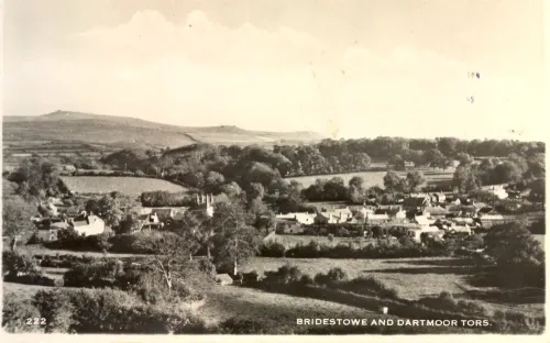 A view of Bridestowe