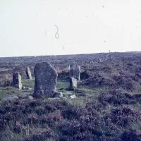 Water Hill. Stone row, looking SW