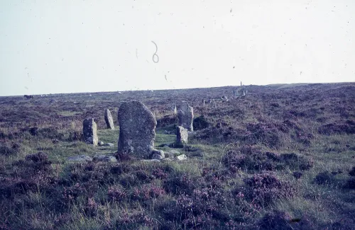 Water Hill. Stone row, looking SW