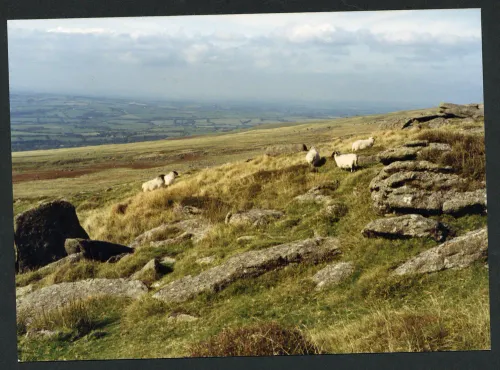 22/67 Above small brook 28/9/1992