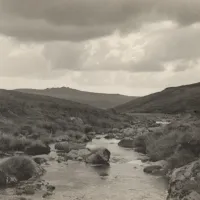 Dartmoor stream