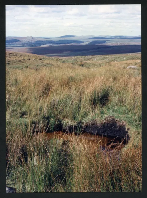 36/61 Near source of Shavercombe Brook to North West 30/9/1991