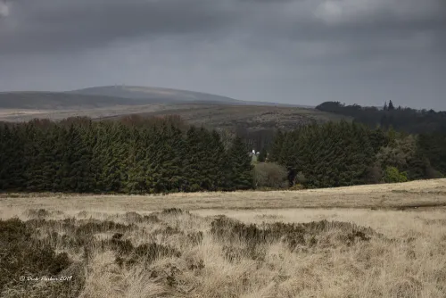 An image from the Dartmoor Trust Archive