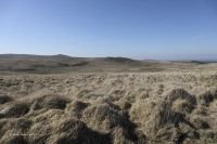 EAST MILL TOR FROM STEEPERTON TOR