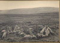 Royal Hill kistvaen and stone circle