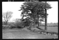 The Devonport leat at Lake Farm in Yelverton