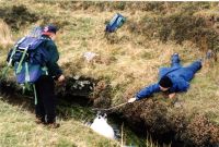 Rescuing a Sheep from the Devonport Leat