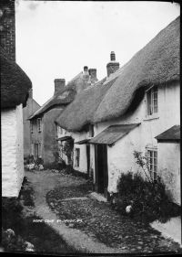 Hopecove