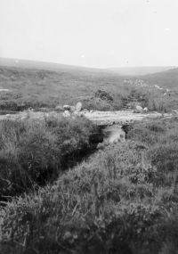 An image from the Dartmoor Trust Archive