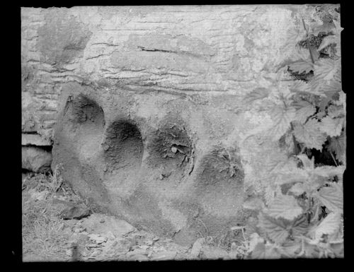 Mortar Stones in Wall of Pigsty, Little Horrabridge